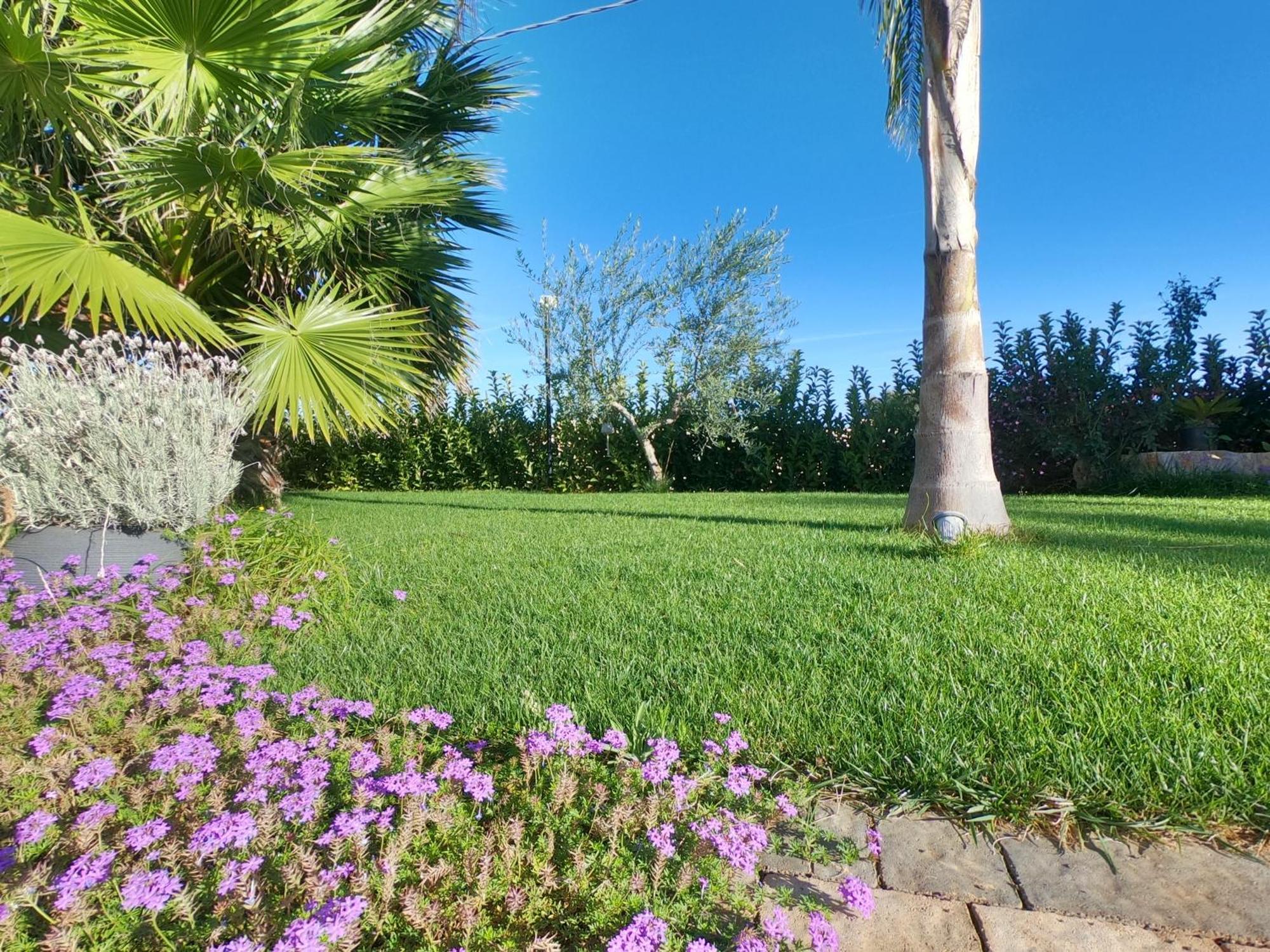Malia Holiday Villa Конверсано Экстерьер фото